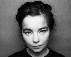 WHAT IS THE ZODIAC SIGN OF BJORK?